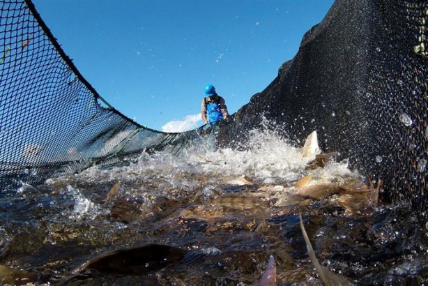 Foto - Bu sayede 2 yılda 2 milyon kazandı!