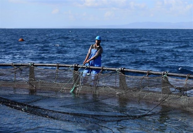 Foto - Bu sayede 2 yılda 2 milyon kazandı!