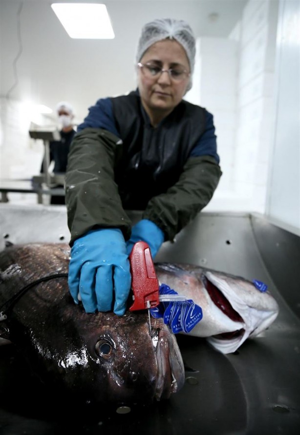 Foto - Bu sayede 2 yılda 2 milyon kazandı!