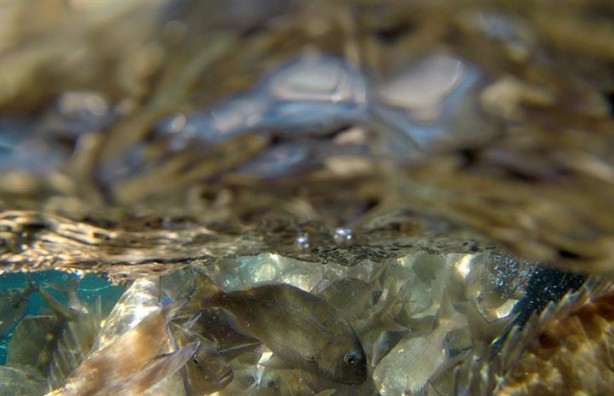 Foto - Bu sayede 2 yılda 2 milyon kazandı!