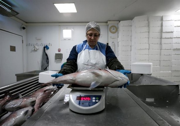 Foto - Bu sayede 2 yılda 2 milyon kazandı!