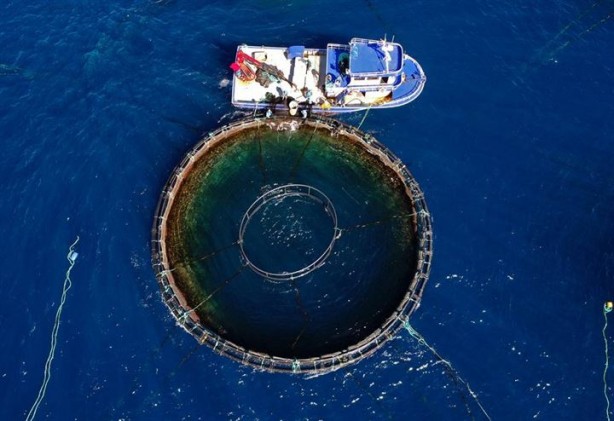 Foto - Bu sayede 2 yılda 2 milyon kazandı!