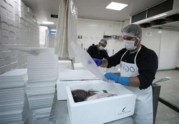 Foto - Bu sayede 2 yılda 2 milyon kazandı!