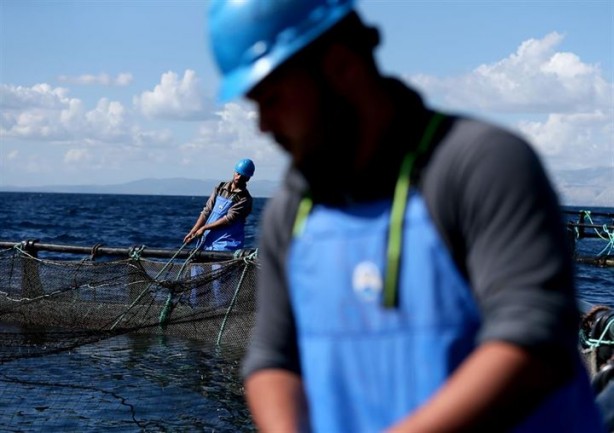 Foto - Bu sayede 2 yılda 2 milyon kazandı!