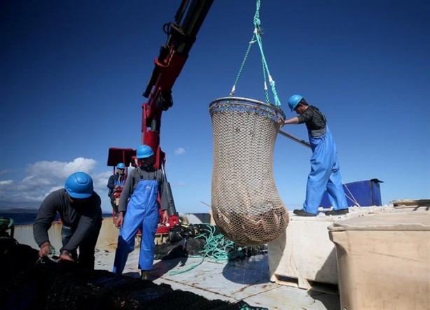 Foto - Bu sayede 2 yılda 2 milyon kazandı!