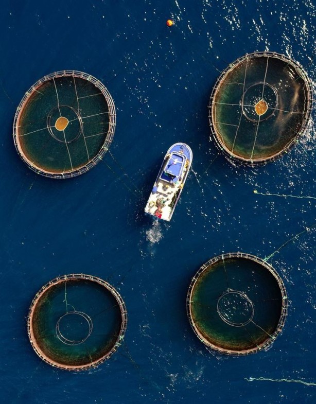 Foto - Bu sayede 2 yılda 2 milyon kazandı!