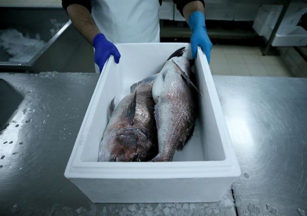 Foto - Bu sayede 2 yılda 2 milyon kazandı!