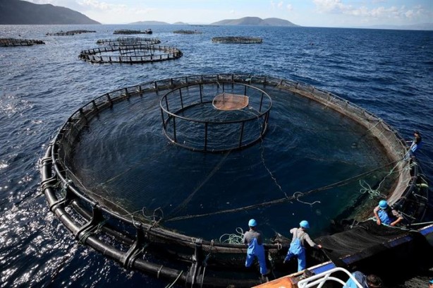 Foto - Bu sayede 2 yılda 2 milyon kazandı!