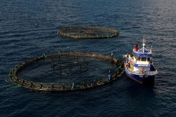Foto - Bu sayede 2 yılda 2 milyon kazandı!