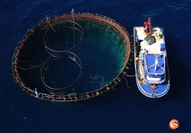 Foto - Bu sayede 2 yılda 2 milyon kazandı!