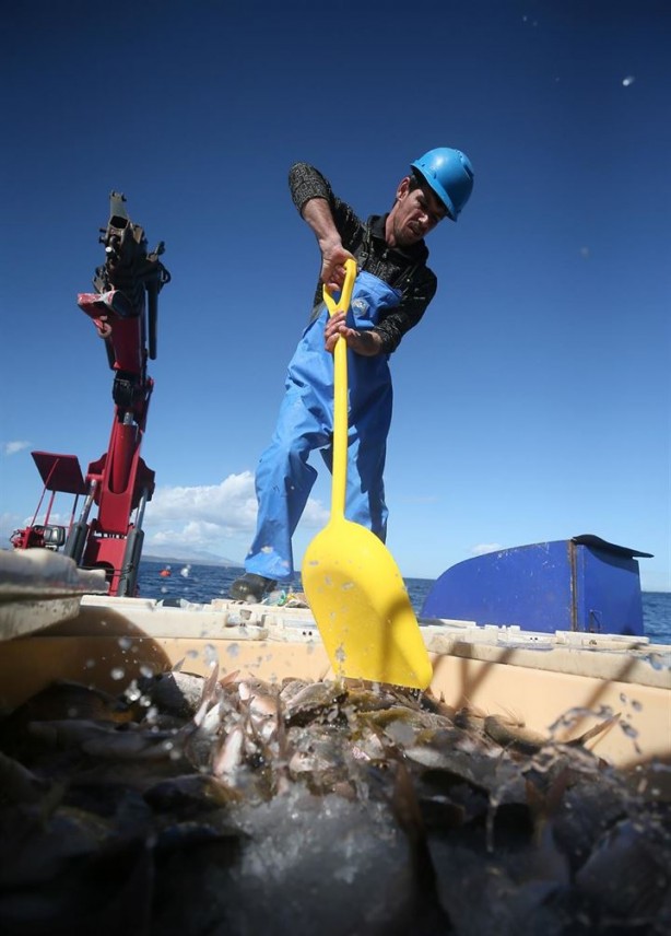 Foto - Bu sayede 2 yılda 2 milyon kazandı!