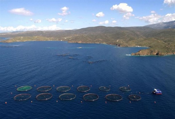 Foto - Bu sayede 2 yılda 2 milyon kazandı!