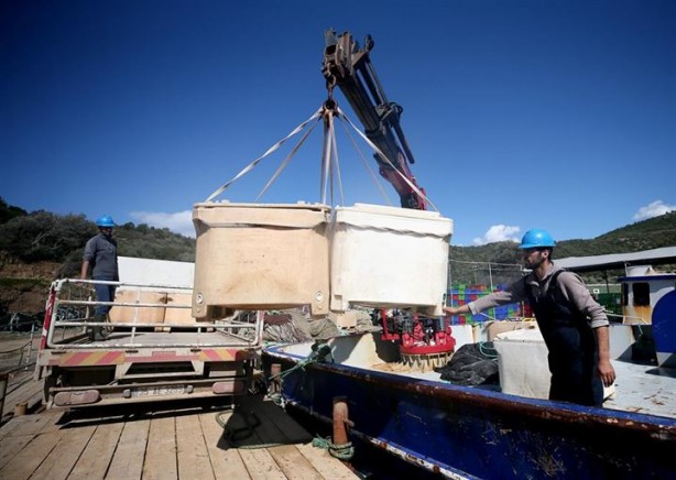Foto - Bu sayede 2 yılda 2 milyon kazandı!