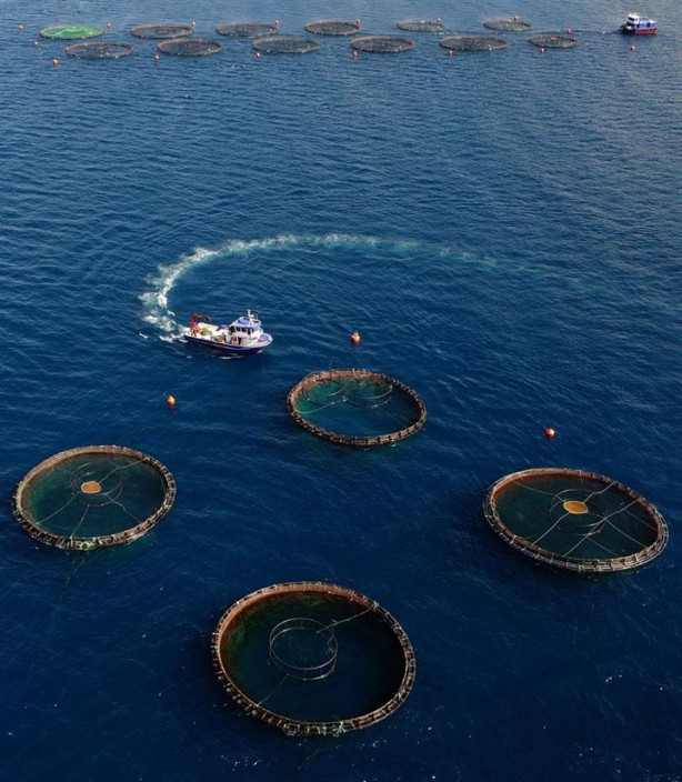 Foto - Bu sayede 2 yılda 2 milyon kazandı!