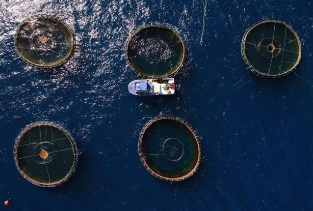 Foto - Bu sayede 2 yılda 2 milyon kazandı!