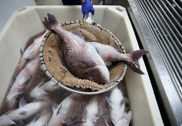 Foto - Bu sayede 2 yılda 2 milyon kazandı!