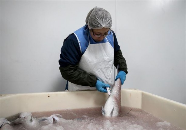 Foto - Bu sayede 2 yılda 2 milyon kazandı!