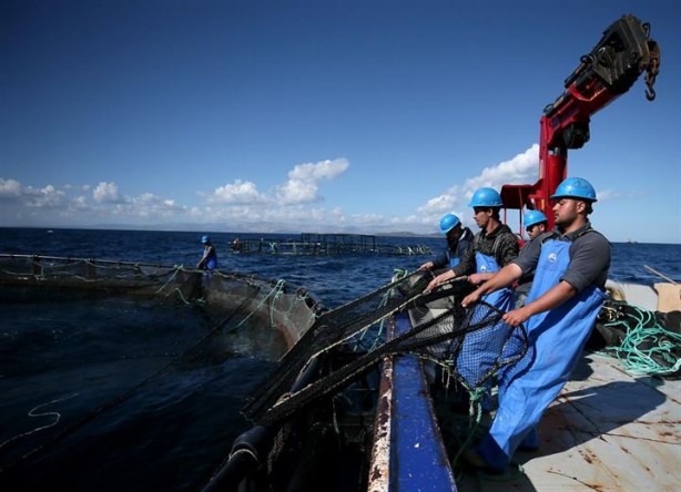 Foto - Bu sayede 2 yılda 2 milyon kazandı!