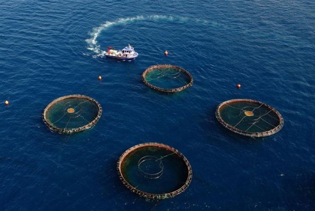 Foto - Bu sayede 2 yılda 2 milyon kazandı!