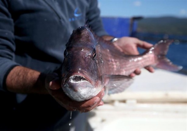 Foto - Bu sayede 2 yılda 2 milyon kazandı!