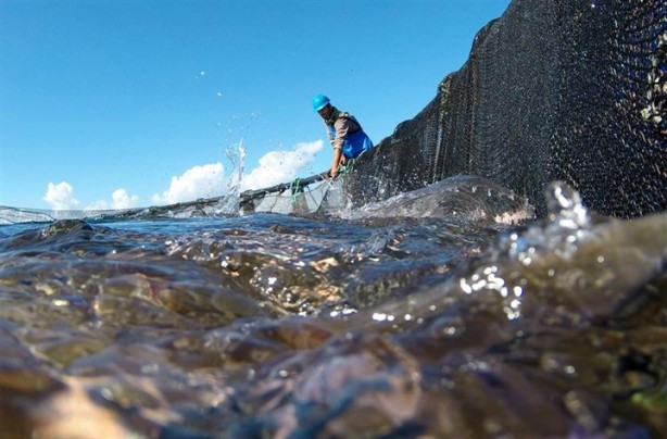 Foto - Bu sayede 2 yılda 2 milyon kazandı!