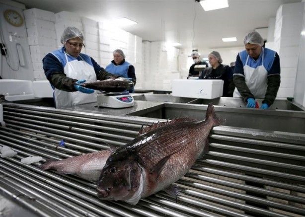 Foto - Bu sayede 2 yılda 2 milyon kazandı!