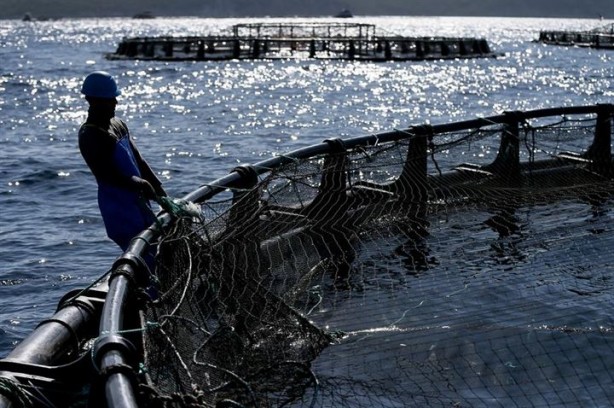Foto - Bu sayede 2 yılda 2 milyon kazandı!