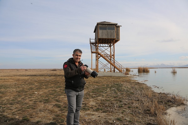 Foto - Bu sazlık göçmen kuşlar için "güvenli liman" 