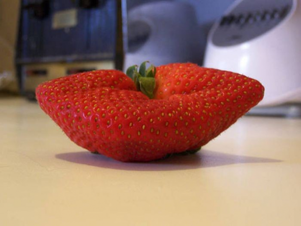 Foto - Bu sebze ve meyveler görenleri şaşırtıyor! Herkes kuş sanıyor ama değil