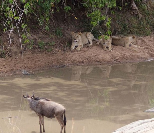 Foto - Bu sefer kim kazanacak?