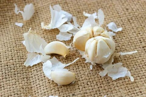 Foto - Bu sefer sarımsağın kabuğu daha faydalı çıktı! Faydaları saymakla bitmedi