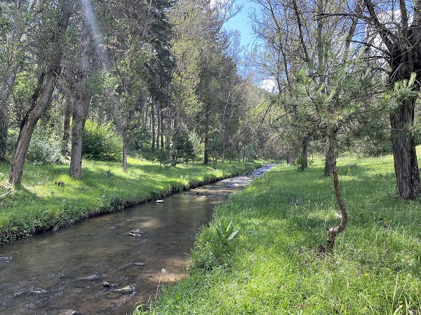 Foto - Bu şelale görenleri mest ediyor