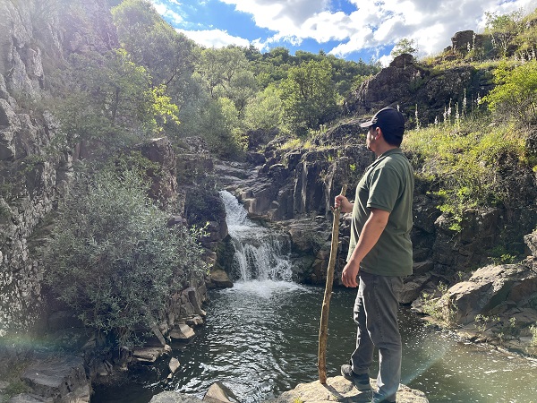 Foto - Bu şelale görenleri mest ediyor