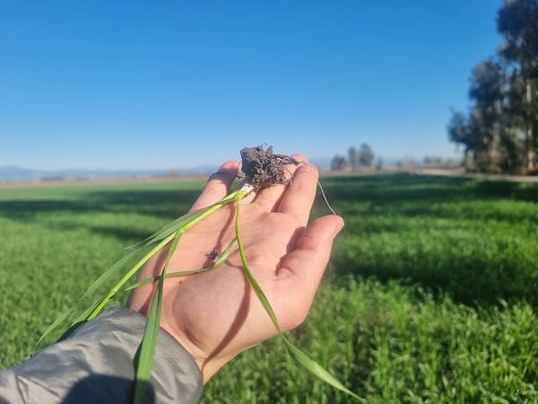 Foto - Bu sene ne yapacağız! 22 derecelik hava sıcaklığı tehdit oluşturuyor