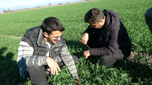 Foto - Bu sene ne yapacağız! 22 derecelik hava sıcaklığı tehdit oluşturuyor