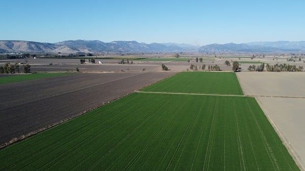Foto - Bu sene ne yapacağız! 22 derecelik hava sıcaklığı tehdit oluşturuyor