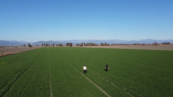 Foto - Bu sene ne yapacağız! 22 derecelik hava sıcaklığı tehdit oluşturuyor