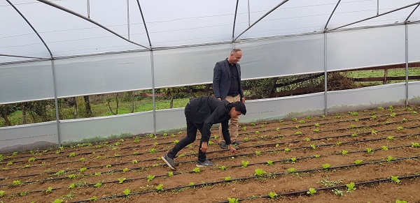 Foto - Bu seralar ilçeye 16 milyon TL kazandırıyor