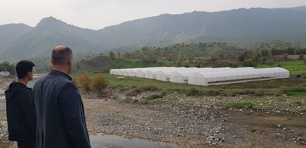 Foto - Bu seralar ilçeye 16 milyon TL kazandırıyor