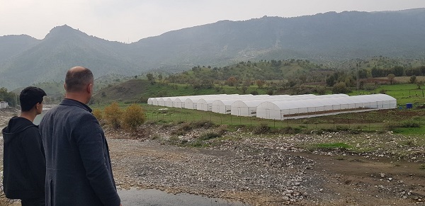 Foto - Bu seralar ilçeye 16 milyon TL kazandırıyor