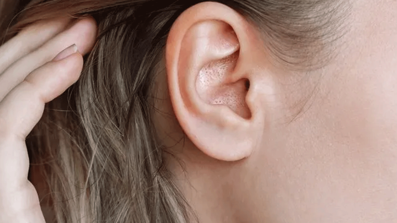 Foto - Bu sesi duyuyorsanız dikkat! Tehlike çanları çalıyor demekmiş!