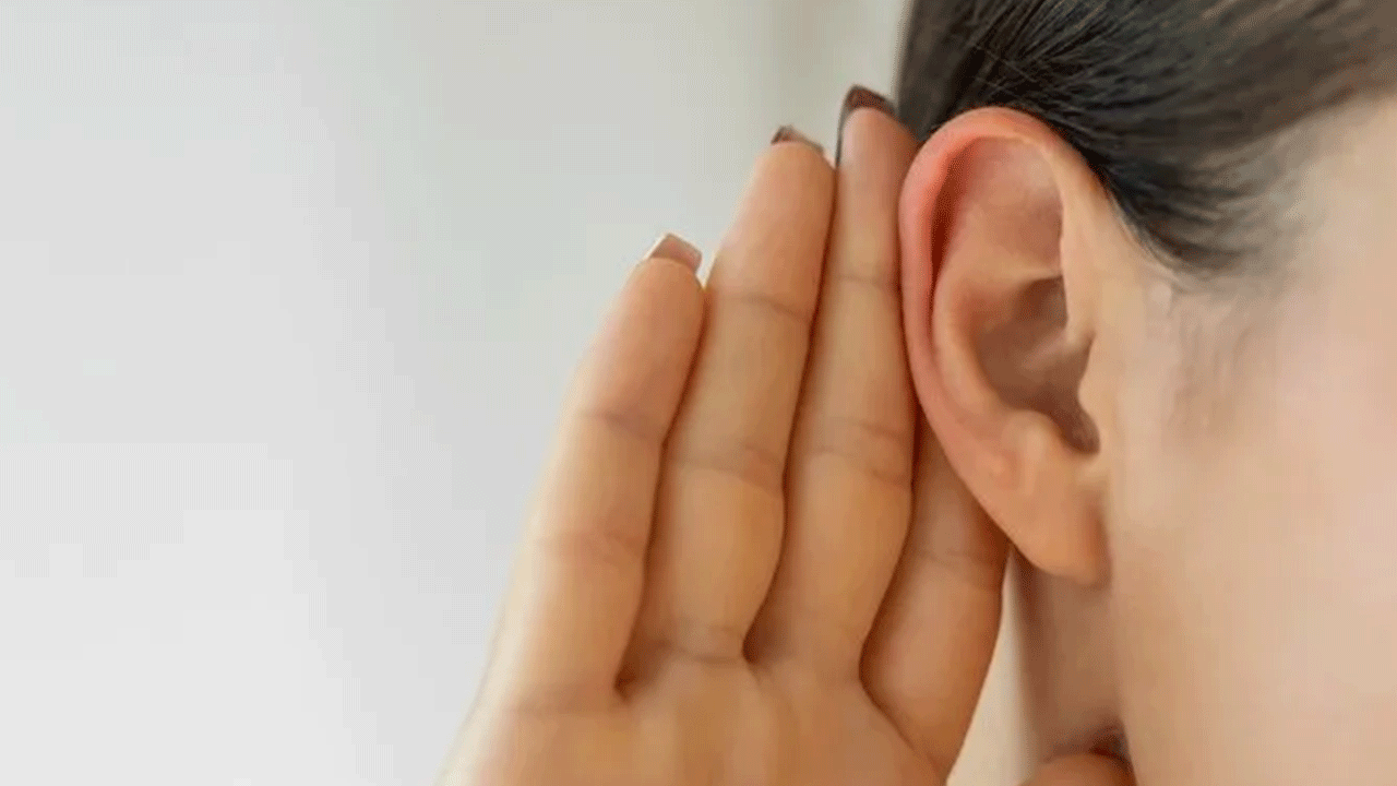 Foto - Bu sesi duyuyorsanız dikkat! Tehlike çanları çalıyor demekmiş!