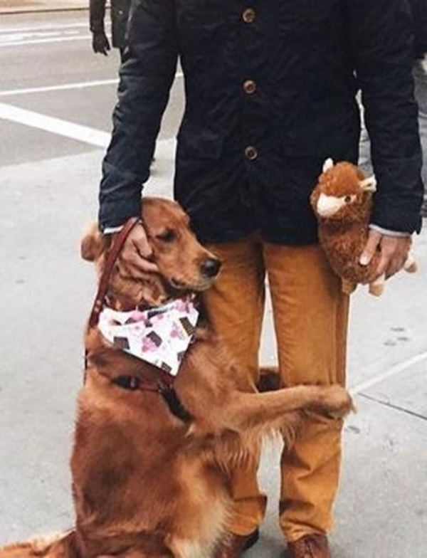 Foto - Bu sevimli köpeğin ilginç bir takıntısı var!