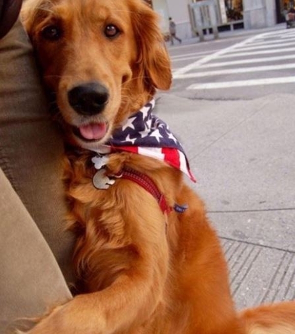 Bu sevimli köpeğin ilginç bir takıntısı var!