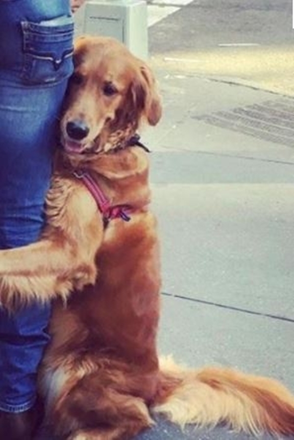 Foto - Bu sevimli köpeğin ilginç bir takıntısı var!