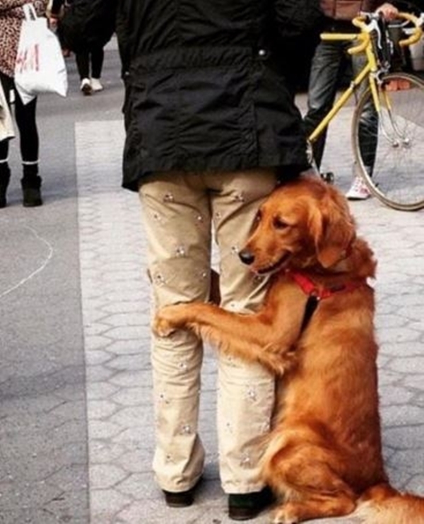 Foto - Bu sevimli köpeğin ilginç bir takıntısı var!