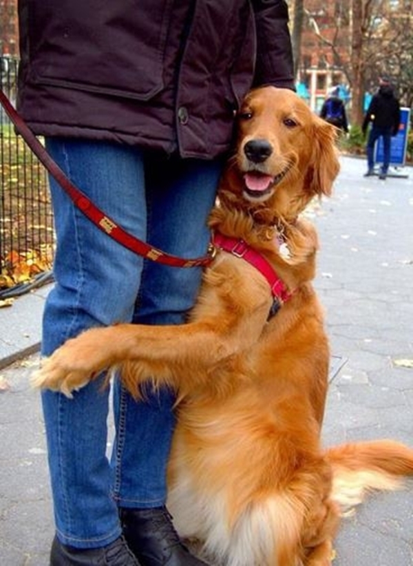 Foto - Bu sevimli köpeğin ilginç bir takıntısı var!