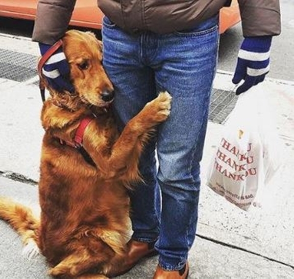 Foto - Bu sevimli köpeğin ilginç bir takıntısı var!