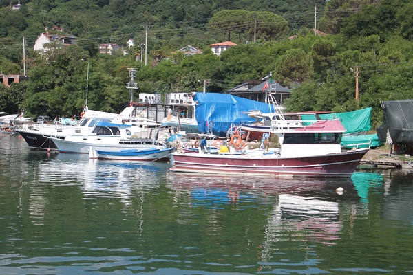Foto - "Bu sezon hamsi yılı olacak"
