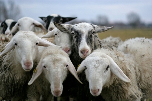 Foto - Bu sorular seviyenizi ölçüyor!